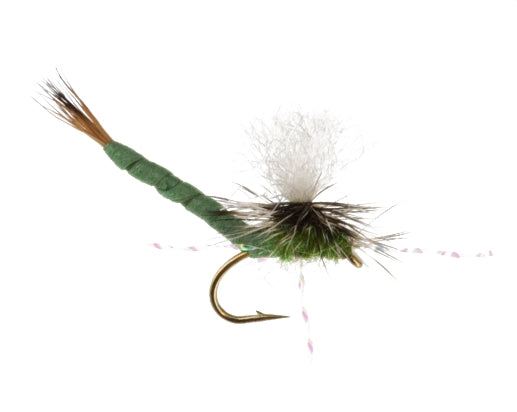 Say Ahh, Light Olive fly fishing fly