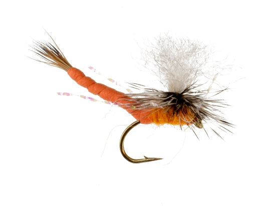 Say Ahh, Orange fly fishing fly