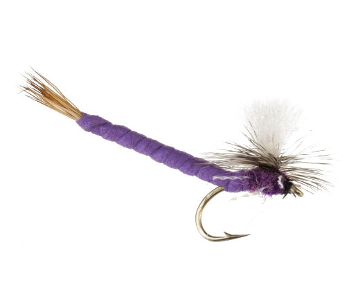 Say Ahh, Purple