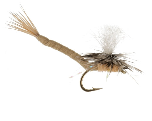 Say Ahh, Tan fly fishing fly