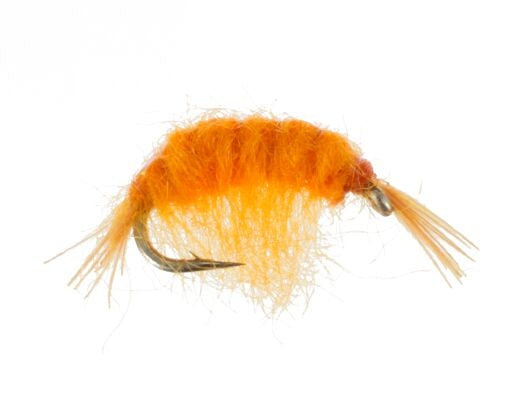 Scud, Flashback, Orange