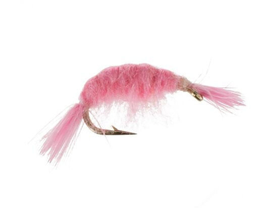 Scud, Flashback, Pink