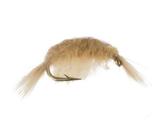 Scud, Flashback, Tan