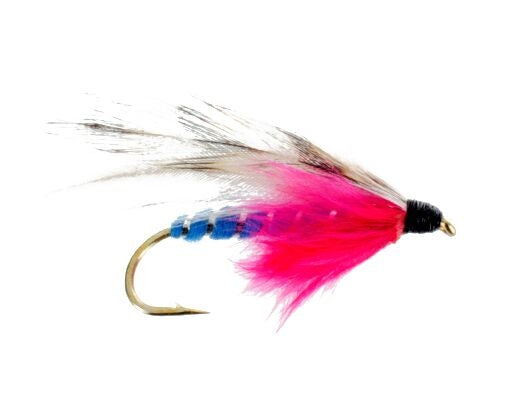 Shiner, Blue