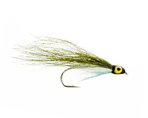 Shiner, Lake Erie
