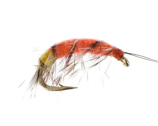 Shrimp #2