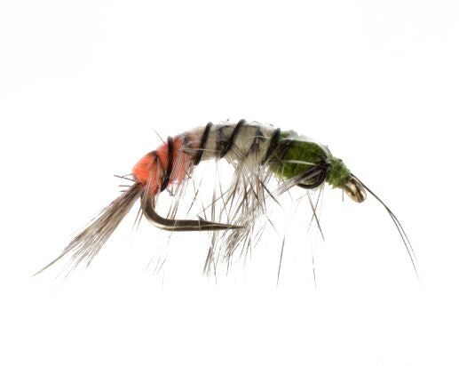 Shrimp #4