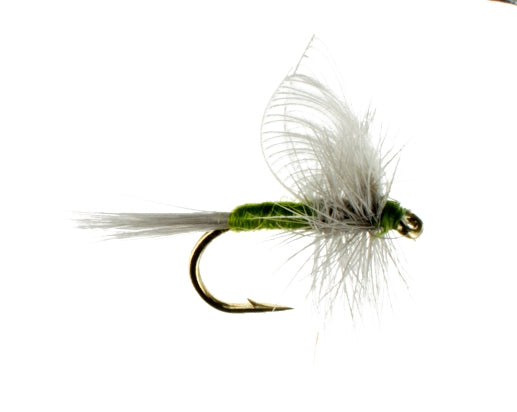 Silhouette Dun, Olive