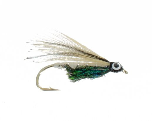 Silver Darter