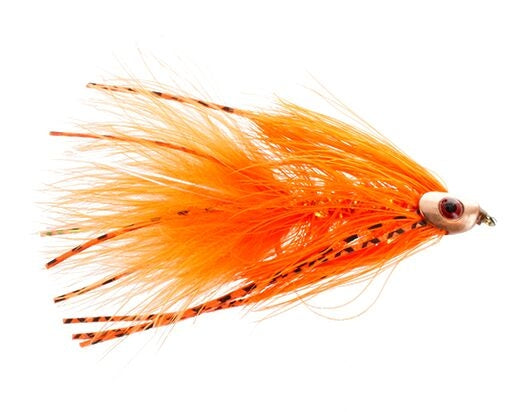 Skull Bugger, Orange