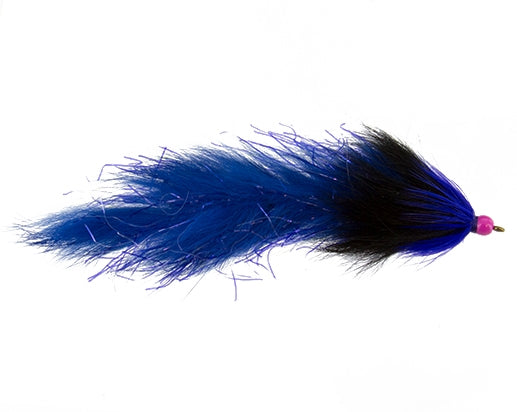 Sleek Leech, Blue