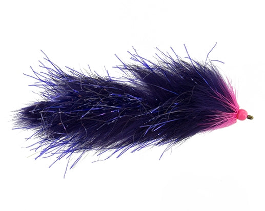 Sleek Leech, Purple
