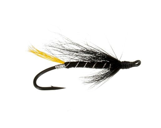 Sloats Tail