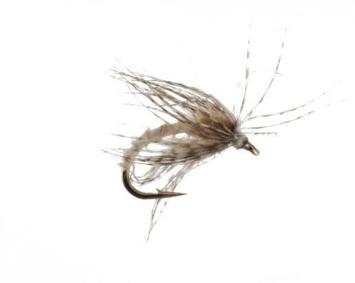 Soft Hackle, Light Biot