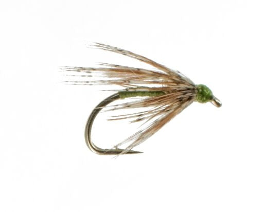 Soft Hackle, Olive