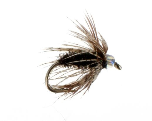 Soft Hackle, Peacock, Glass Bead