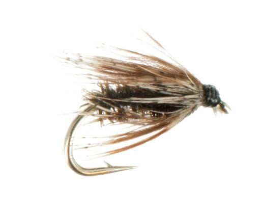 Soft Hackle, Peacock
