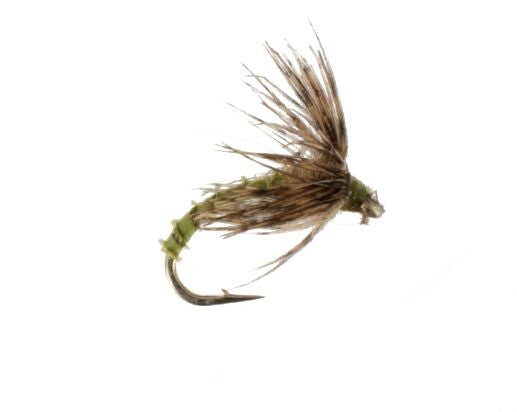 Soft Hackle, Biot, Olive