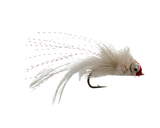 Spanish Snook