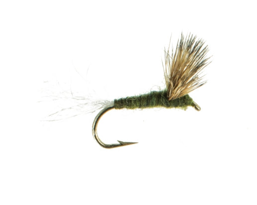 Sparkle Dun, Blue Wing Olive
