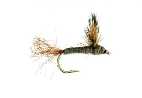 Sparkle Dun, Callibaetis, Brown Shuck