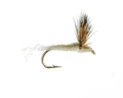 Sparkle Dun, Cream