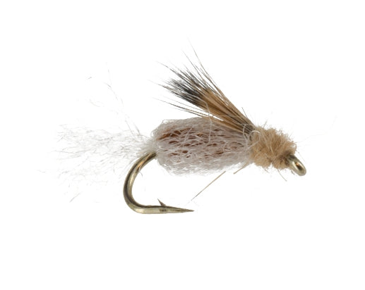 Sparkle Pupa, Tan