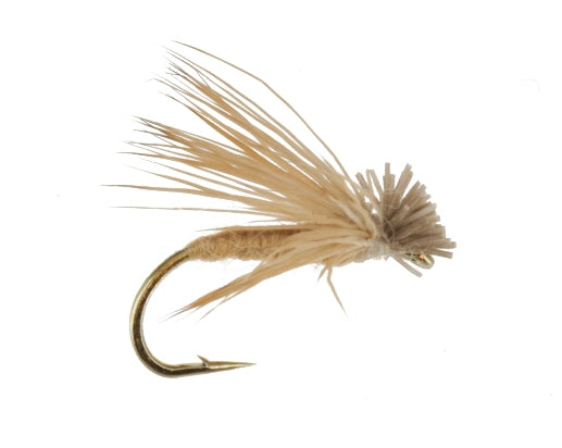 Spent Caddis, Tan