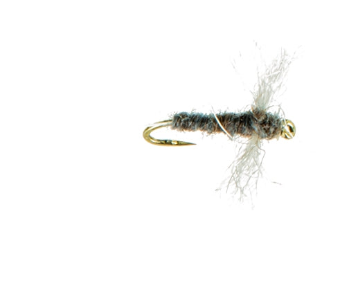 Spinner, Callibaetis