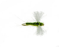 Spinner, Olive