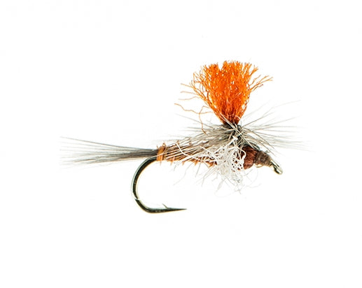 Spinner, Profile
