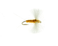 Spinner, Sulphur