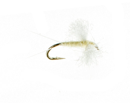 Spinner, Light Cahill