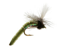 Spotlight Caddis, Olive