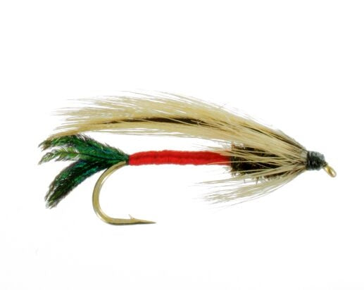 Spruce Fly