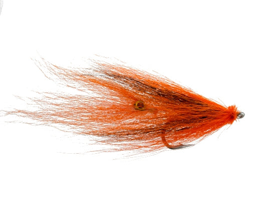 Squid, Orange