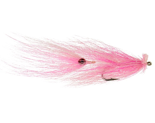 Squid, Pink