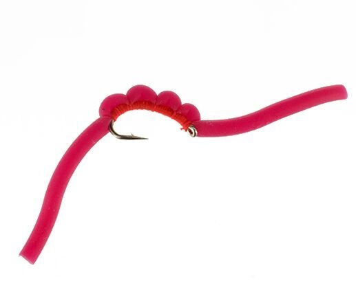 Squirmy Wormy, Bloody Red