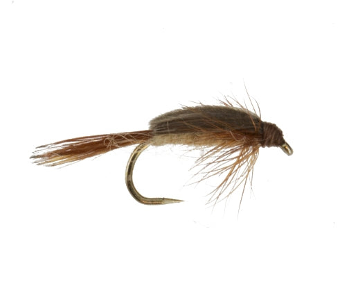 Stillborn Caddis