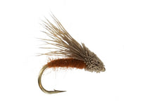 Streaking Caddis