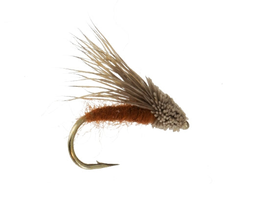 Streaking Caddis