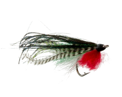 Striper Snack Green and Red, Fly Fishing Flies, Saltwater. Discount flies at theflystop.com. High Resolution.