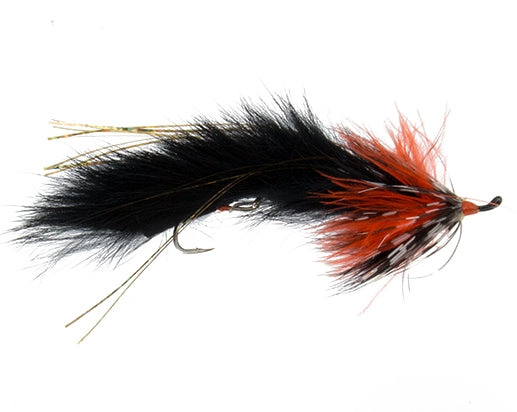 Strung Out Leech, Halloween