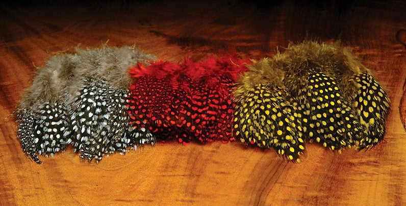Strung Guinea Feathers