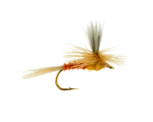 Sulphur, Parachute Biot