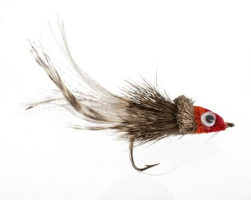 Swimming Baitfish, Multicolor