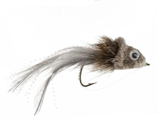 Swimming Baitfish, Shad