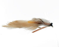 Swimming Hex Carp