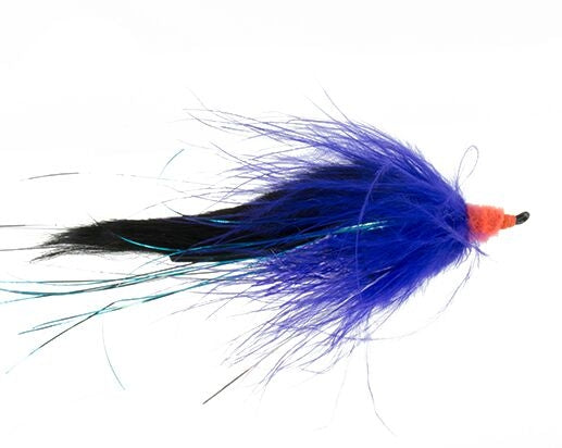 Swinging Leech