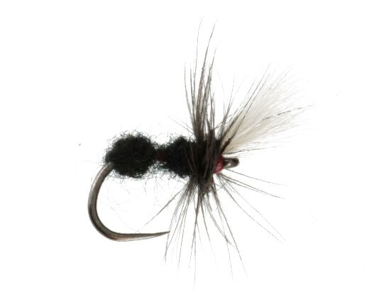 Tenkara Ant